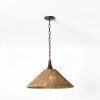 Troy Lighting Pendant Bronze Leaf Iron Contemporary-5