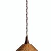 Troy Lighting Pendant Bronze Leaf Iron Contemporary-2
