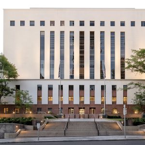 Pavo Monitor Arm Ergonomic Desk Mount for Home Office-0