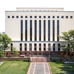 Pavo Monitor Arm Adjustable Ergonomic Desk Mount-0