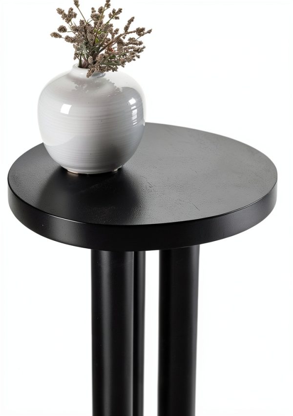 Kenzo Modern Round End Table Black Mango Wood Nightstand-5