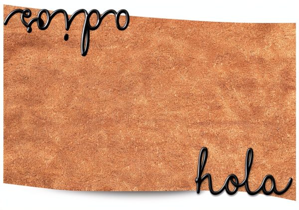 Calloway Mills Doormat Cursive Hola Adios Coir Vinyl-0