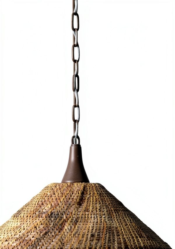 Troy Lighting Pendant Bronze Leaf Iron Contemporary-1